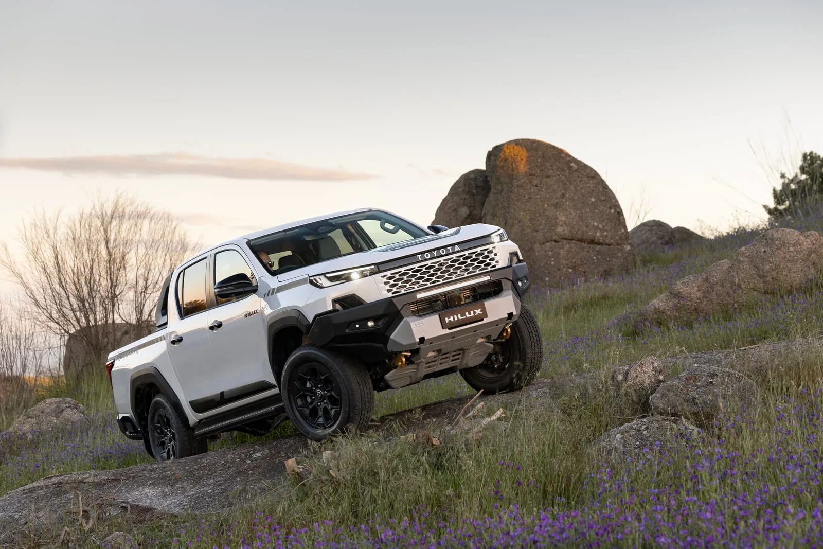 Toyota HiLux WorkMate