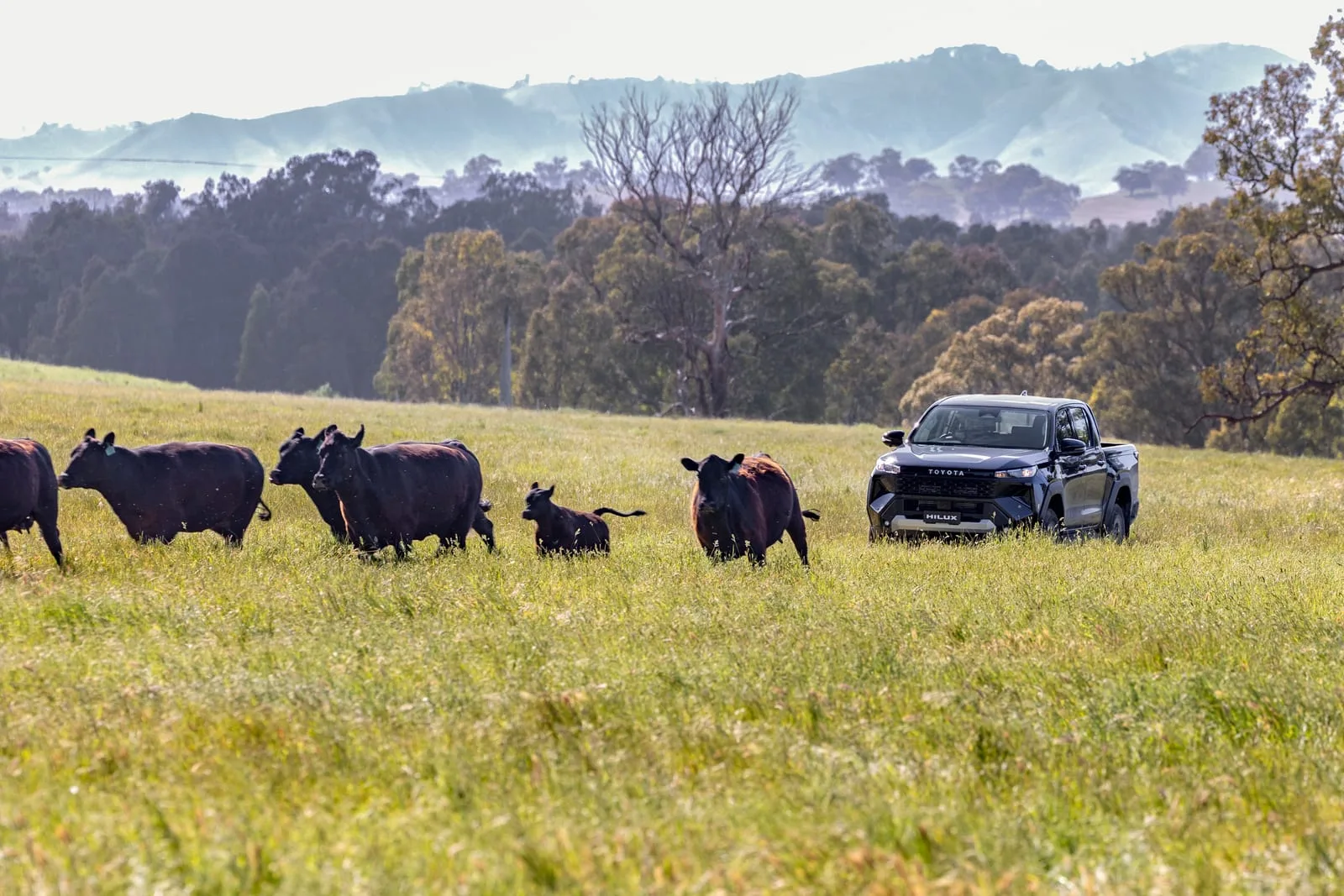 Toyota HiLux WorkMate